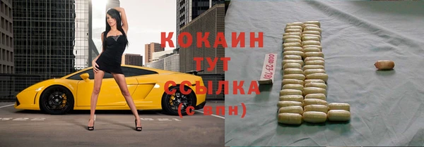 прущие крисы Алзамай