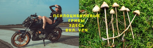 кокаин колумбия Алексин