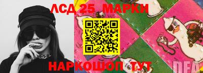 гидра Ставрополь