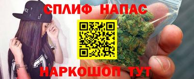 гидра Ставрополь