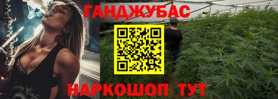 гидра Ставрополь