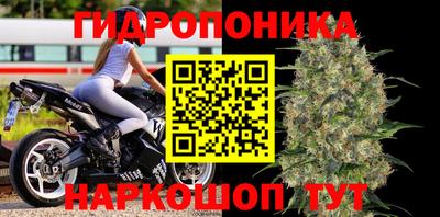 гидра Ставрополь