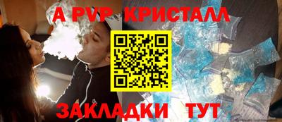 гидра Ставрополь